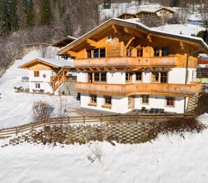 Alpensteinbock Saalbach 