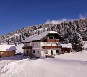 Hotel Holiday Apartments Almsonne Incl Lift Pass Approx Sc 