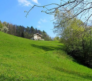 Achtalgut 