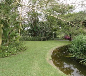 Ascot Inn 