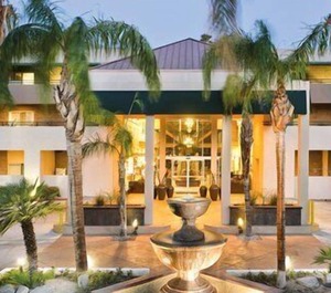 Palm Canyon Resort 
