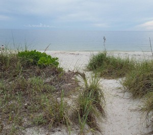 Boardwalk Englewood 