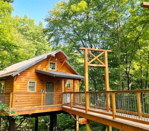 Treehouse 