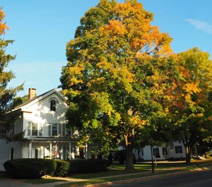 Century New England Rental At Garfield 