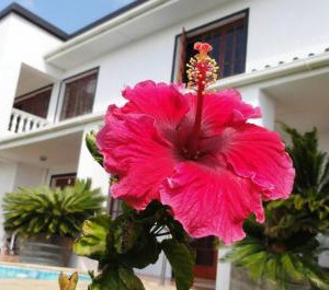 Helderberg Guesthouse 