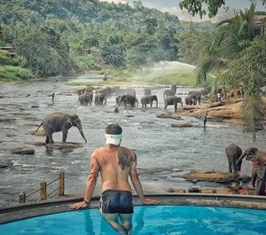 Hotel Elephant Bay 