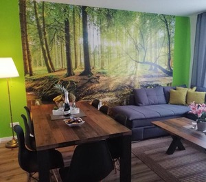 Kölsche Wohnung 