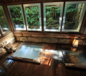 Kinokuniya Ryokan 