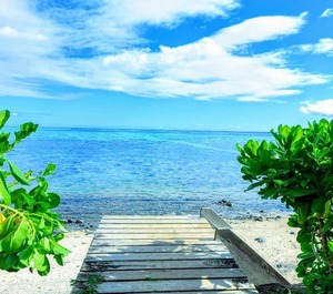Moorea Fare Taina Nui 