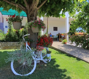 Terrace Živogošće Blato Makarska 