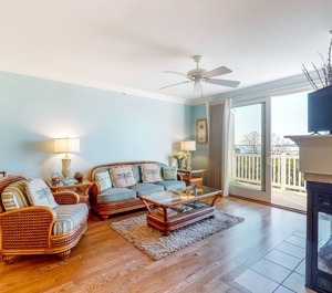 Salt Meadows Fenwick Island 