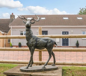 Sawtons Cottage 