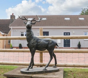 Sawtons Cottage 