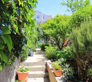 Terrace Živogošće Blato Makarska 