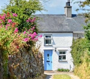 Tan Fynwent 