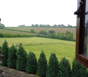 The Dog Friendly Seaton Beach Country Retreat 