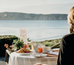 The Robberg Beach Lodge Lion Roars Hotels Lodges 