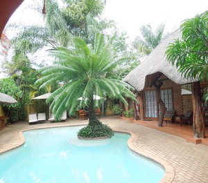 Trees Lodge 