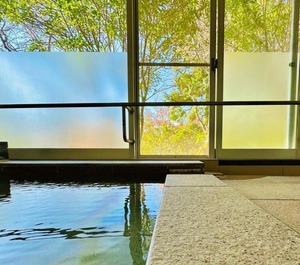 Hakone Sengokuhara Onsen Hotel Stay 