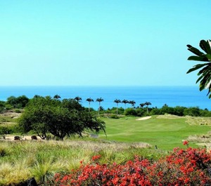 Waimea 