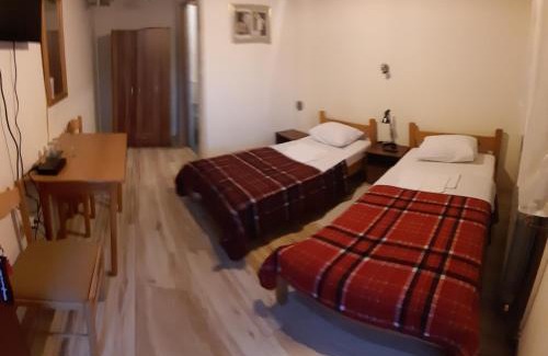 Aleksinac Hotel | Šumatovac