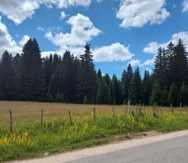 Zabljak Ski Chalet | Šumski raj