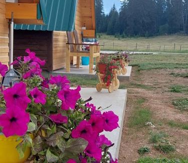 Zabljak Ski Chalet | Šumski raj