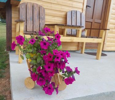 Zabljak Ski Chalet | Šumski raj