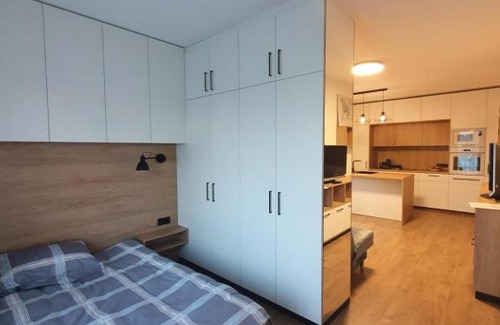 Vilnius city municipality Apartment | Žvėrynas Workation apartments