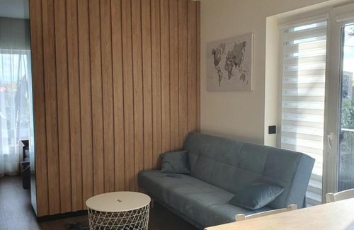 Vilnius city municipality Apartment | Žvėrynas Workation apartments