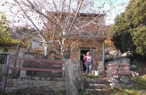 Plati Ski Chalet | Οροπέδιο Καθαρού Κριτσάς- Αβελιακό