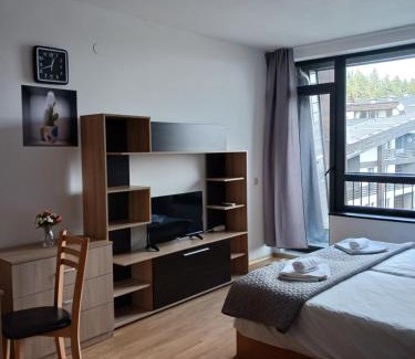 Razlog Apartment | Аспен валей С420