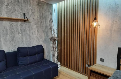 Krivoy Rog Apartment | ВИТАЛИЯ МАТУСЕВИЧА ДОМ 4