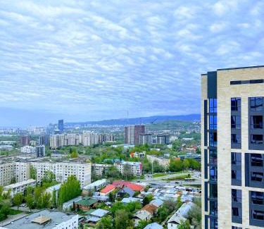 Almaty Apartment | Впечатляющие 2 комнатные апартаменты, с прекрасным видом