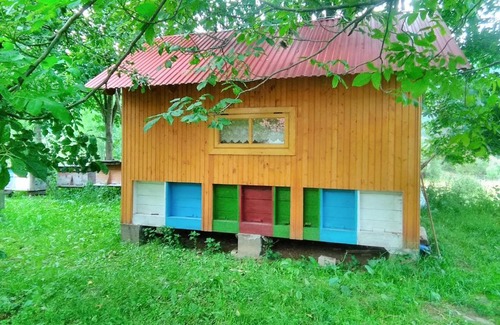 Soymy House | Відпочинок у Карпатах, мінеральні ванни, банний Чан!