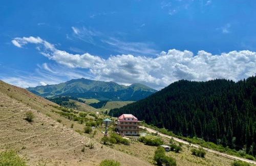 Issyk-Kul Region House | Горный дом ЛЕС и ГОРЫ Dinarsky