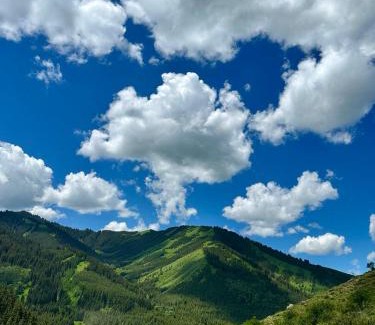 Issyk-Kul Region House | Горный дом ЛЕС и ГОРЫ Dinarsky
