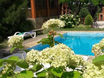 Mizikevycha Apartment | Гостевой домик