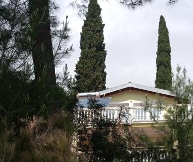 Susanj House | гостевой дом Polina2