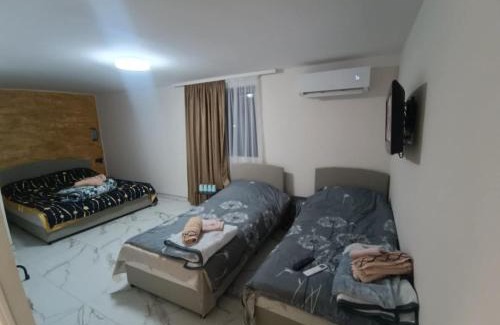 Dimitrovgrad House | Жикин дом