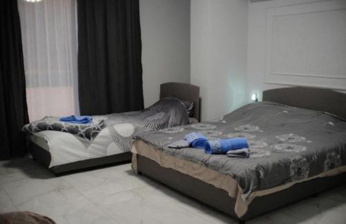 Dimitrovgrad House | Жикин дом
