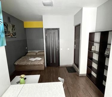 Kosuv Stary Apartment | — Затишні Apartments —