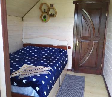 Snidavka House | Карпатська мрія