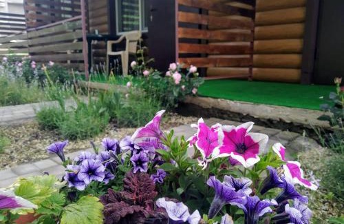 Serhiivka Hotel | Отель "Лагита"