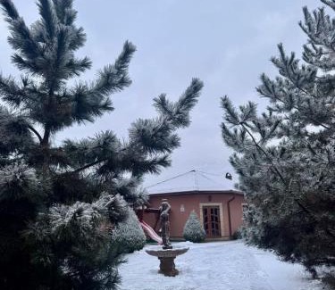 Velyka Byyhan Bed & Breakfast | Пансіонат Маленька Квітка Kis Virág Panzió