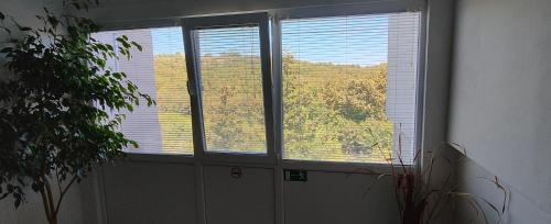 Malko Tarnovo Apartment | Студио Странджа - Граматиково