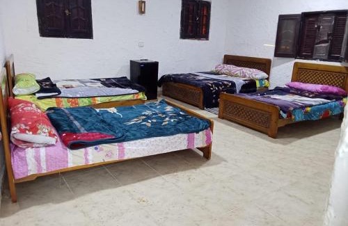 Siwa Hotel | ادرار احكيك