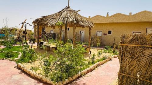 Siwa Hotel | ادرار احكيك