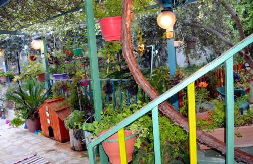 Jerash Apartment | بيت الطبيعة nature house
