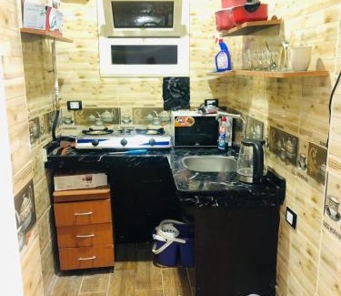 Zamalek Apartment | شقه فندقيه بالزمالك